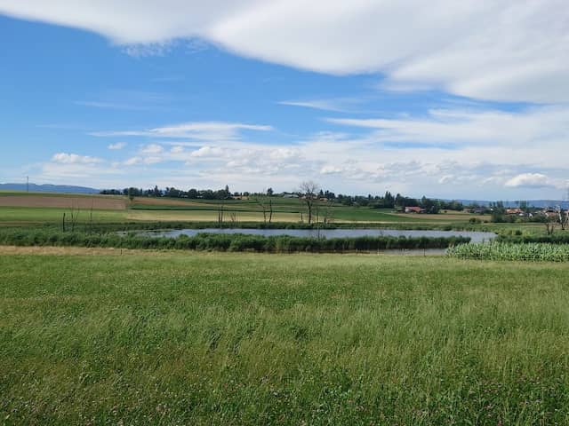 Lobsigensee - Image 1