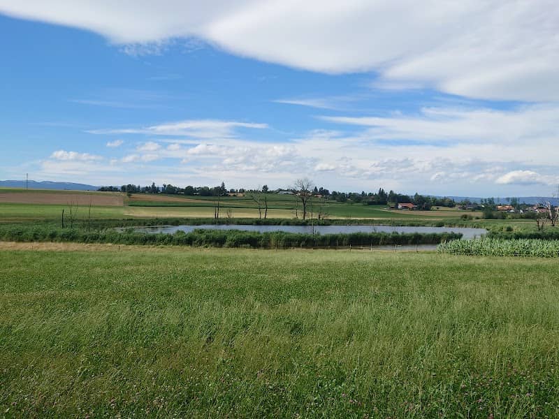 Lobsigensee - Image 1