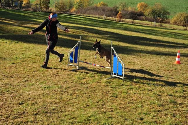 TPŠ - Agility Písek - Image 1