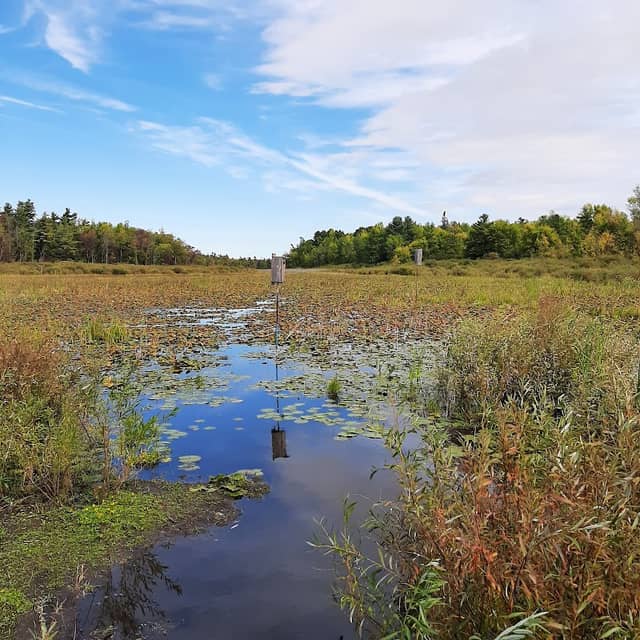 Upper Canada Migratory Bird Sanctuary - Image 1