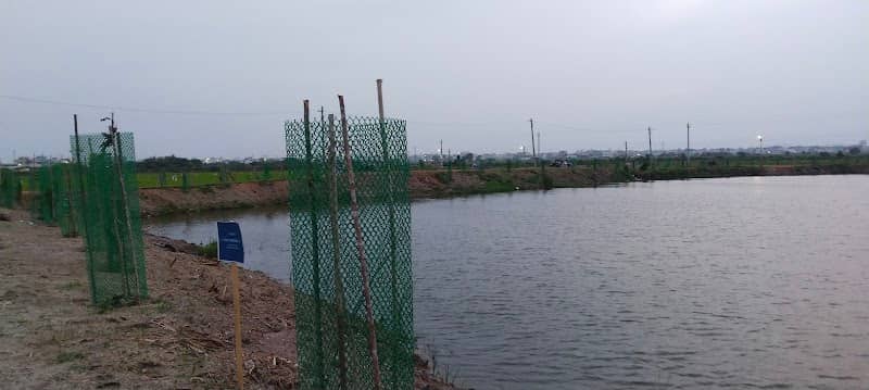 Lake view - Image 1