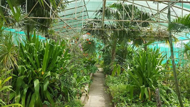 Tropical Rainforest house - Image 2