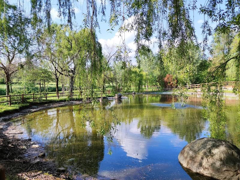 Parco Laghetto - Image 1