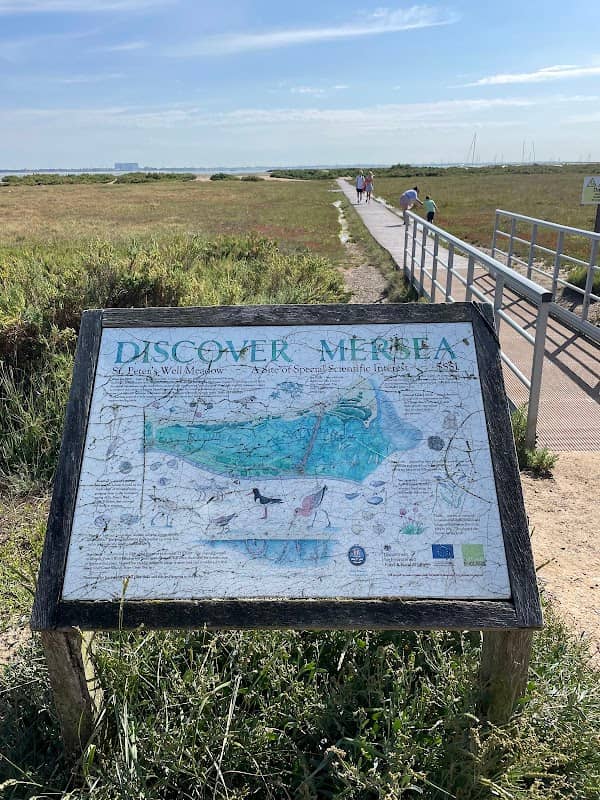 St Peter's Well Meadow - Image 1