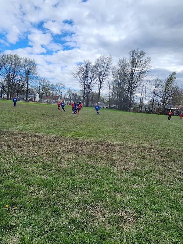 Dudley Park - Image 1