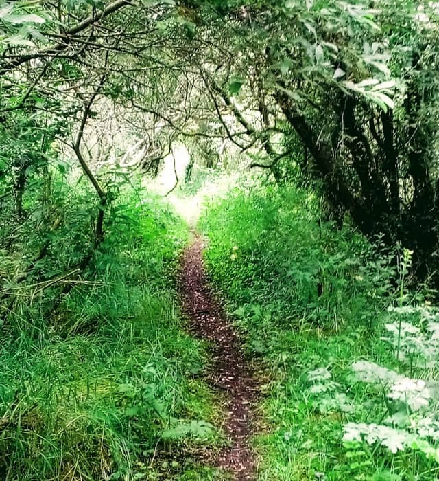 Gwernydd Penbre - Image 1
