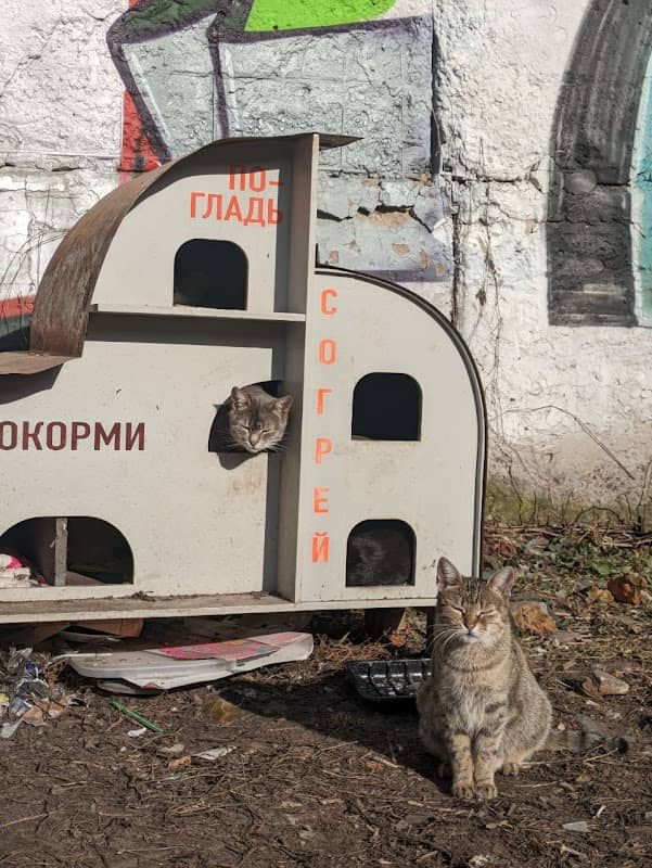 КОТЭдж - Image 1