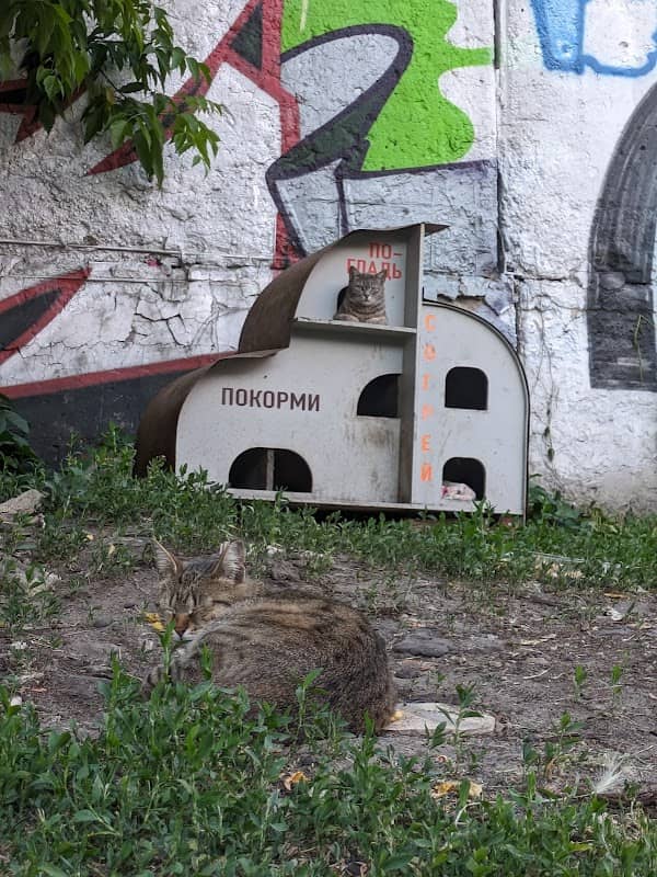 КОТЭдж - Image 2