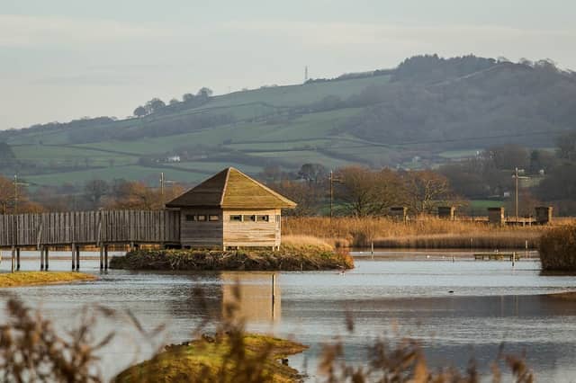Seaton Wetlands - Image 2
