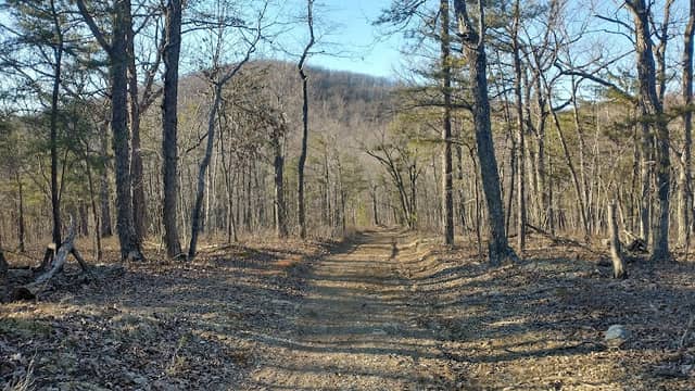 Liberty Mtn Trail System - Mike Donahue Trailhead - Image 1