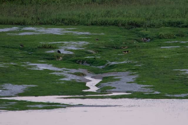 Stoke Saltings - Image 2