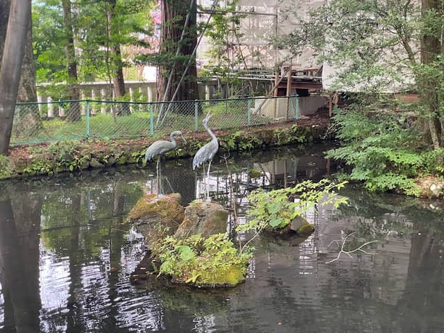 五穀の種池 - Image 1