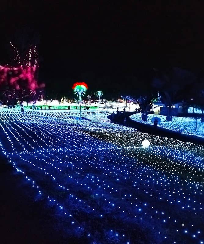 Bertam Kepala Batas Vision Park - Image 1