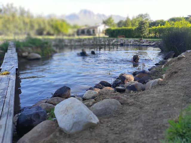 Roseberg Farm - Image 1