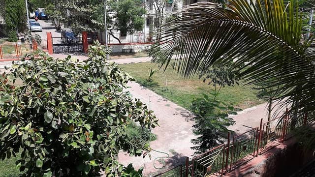 Kids Garden - Image 1