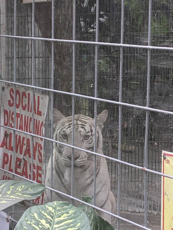 Malabon Zoo - Image 3