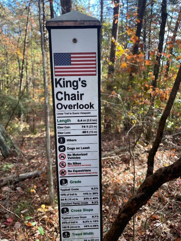 Kings Chair - Image 2