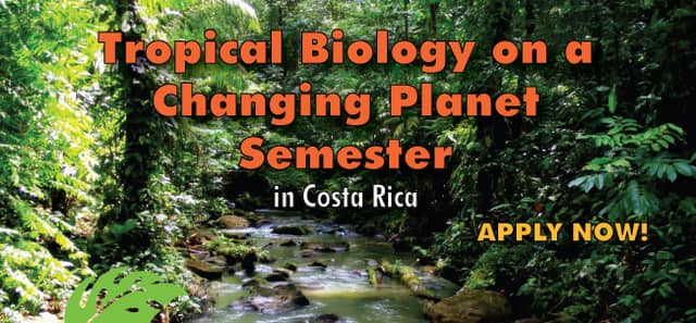 La Selva Biological Station - Image 1