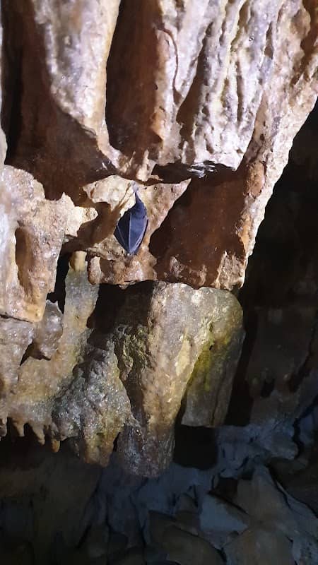 Gruta da Lapa - Image 3