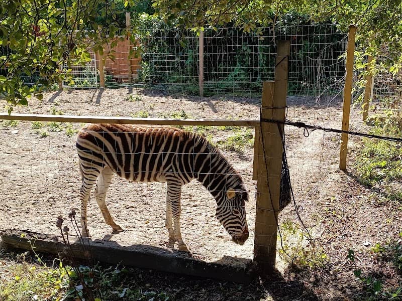 Call Of The Wild Zoo - Image 2