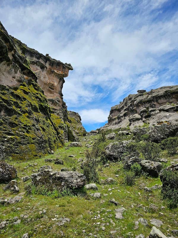 Piedra Pato - Image 2