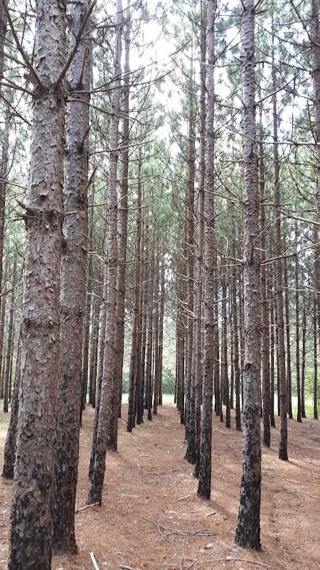 SAQMAQ park and walking trail - Image 1