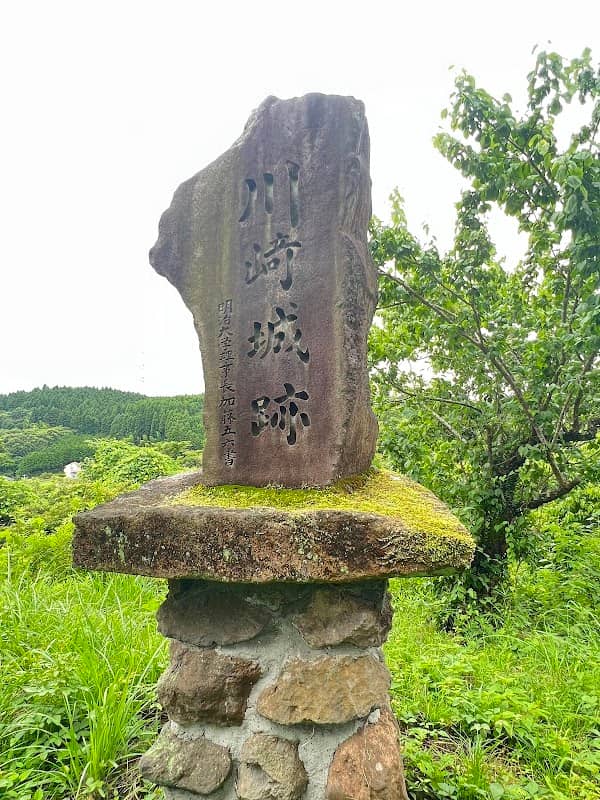 Kawasakijoseki Park - Image 1