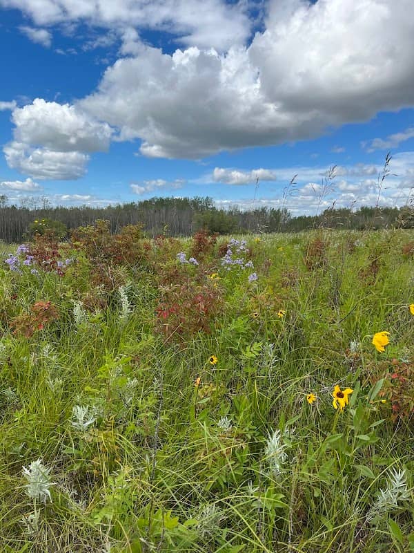 Nisku Native Prairie Reserve - Image 1