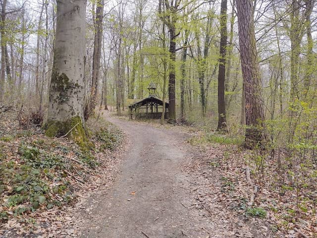 Aussichtspunkt über dem Muldewehr - Image 2