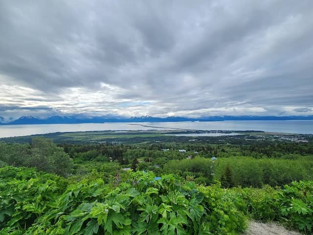 Viewpoint Skyline Dr - Image 1