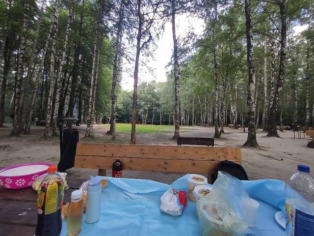 Piknikovaya Zona - Image 1