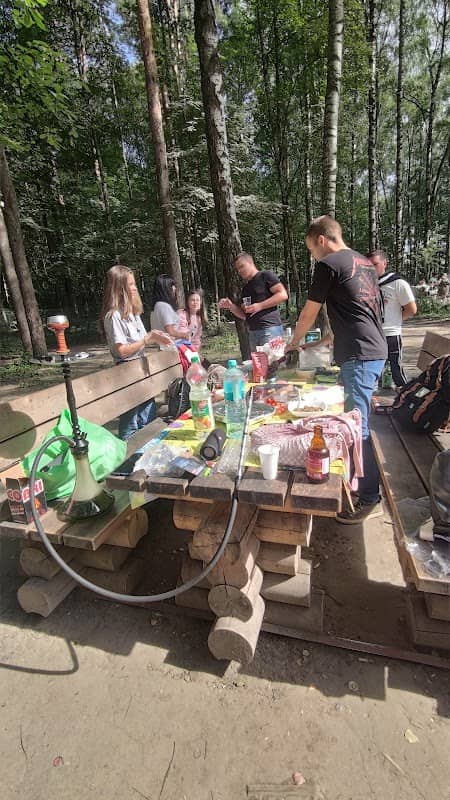 Piknikovaya Zona - Image 2