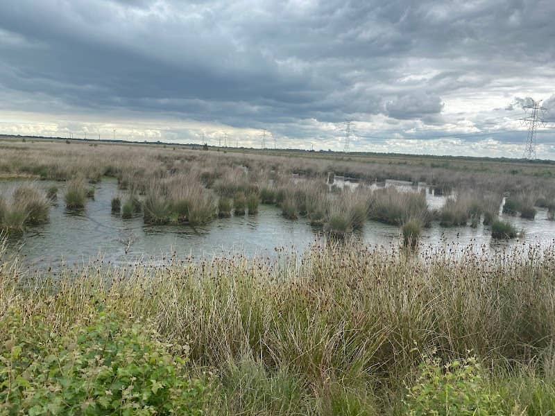Erlebnispfad Stapeler Moor - Image 1