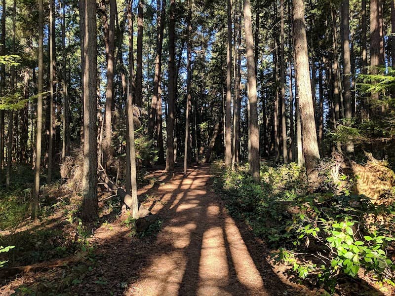 Shoreview Park - Image 1