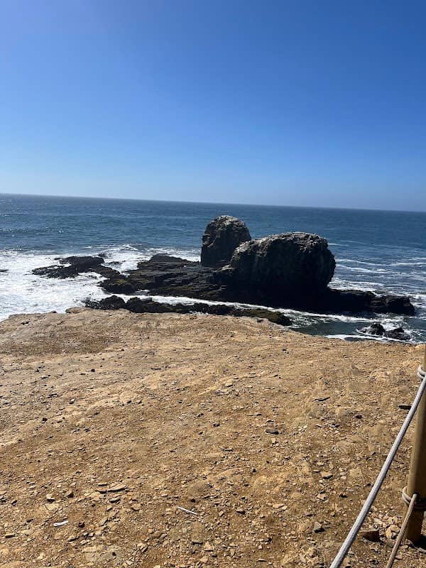 Punta de Lobos - Image 3