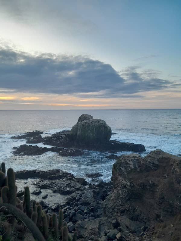 Punta de Lobos - Image 1