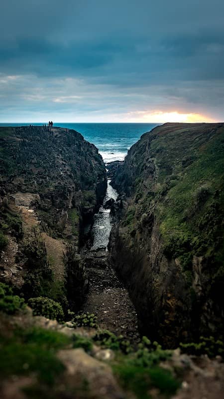 Punta de Lobos - Image 2