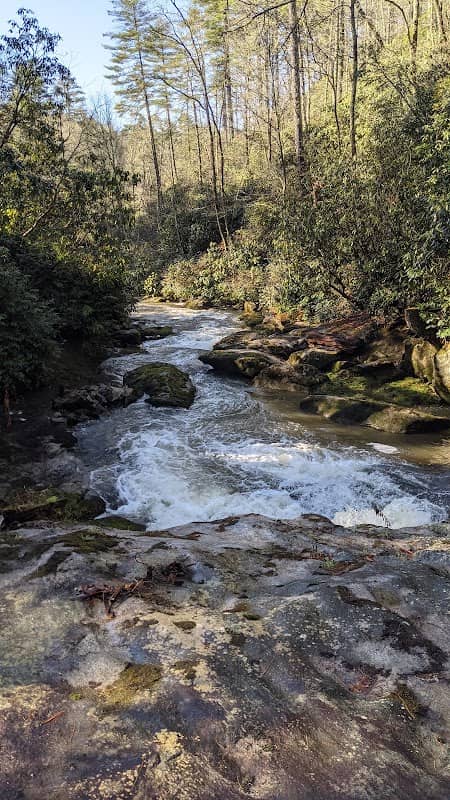 Fowler Creek at Chattooga Club - Image 1