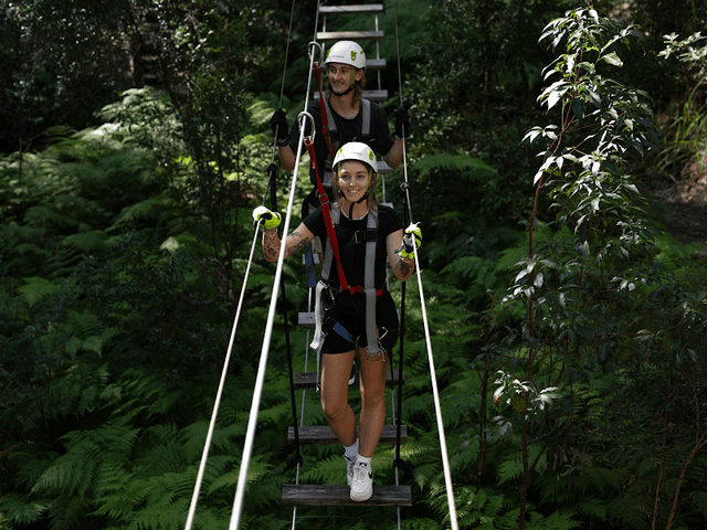 TreeTop Challenge Mt Tamborine - Australia's Largest High Ropes Adventure Park - Image 1
