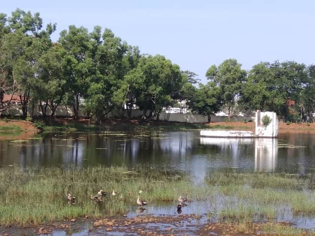 Attiveri Bird Sanctuary - Image 2
