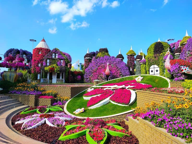 Dubai Miracle Garden - Image 2