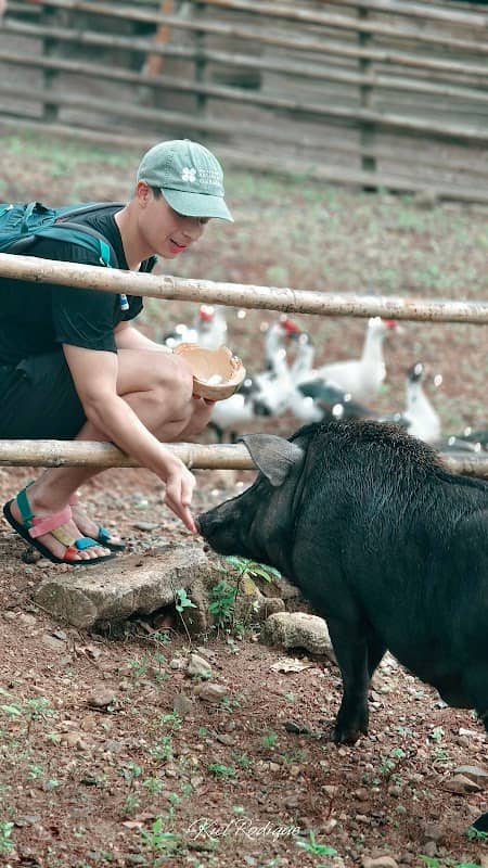 Malumpati Farm Animal Preservation Sanctuary - Image 1