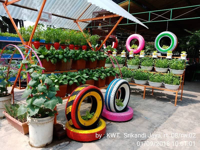 Kebun KWT Srikandi Jaya 13 - Image 1