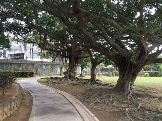 Kuwae Park - Image 1