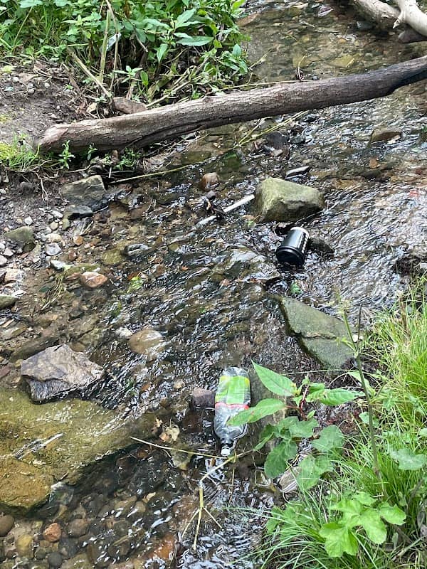 Delph Waterfall And Nature Trail - Image 1