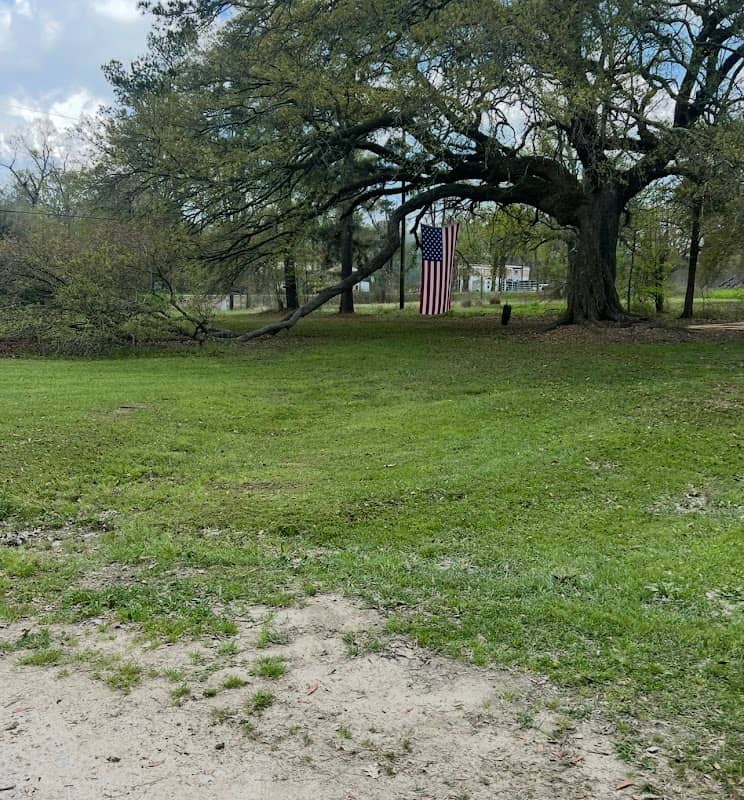 Ashley’s campsites - Image 2