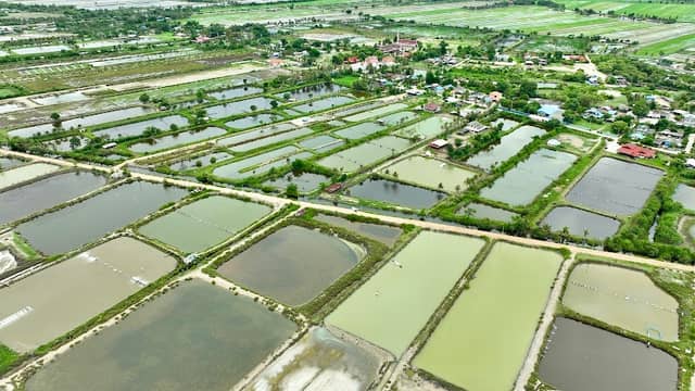 จุดชมวิว โรงตากเกลือ บางขุนไทร - Image 2