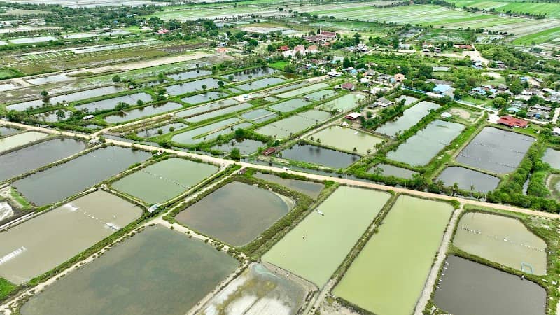 จุดชมวิว โรงตากเกลือ บางขุนไทร - Image 2