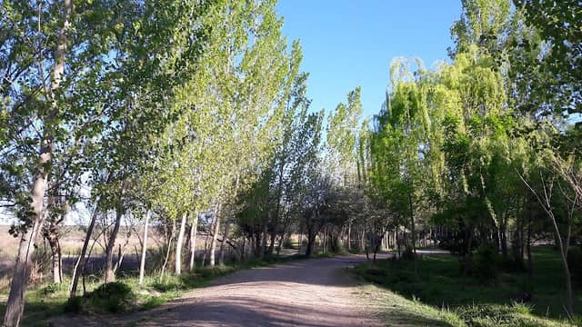 Lombardia Park - Image 1