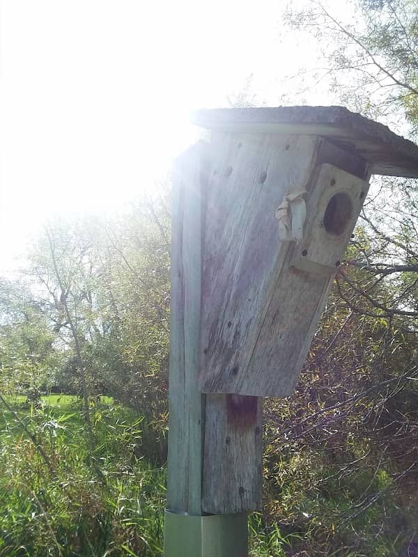 Woodview Park - Image 1